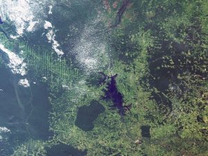 Ecometrica Brazil Amazon Basin