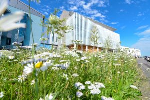Institute of Genetics and Cancer