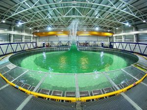 Photo showing the Flowave ocean device testing facility