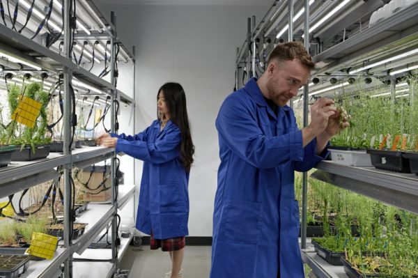 Plant Growth Facility